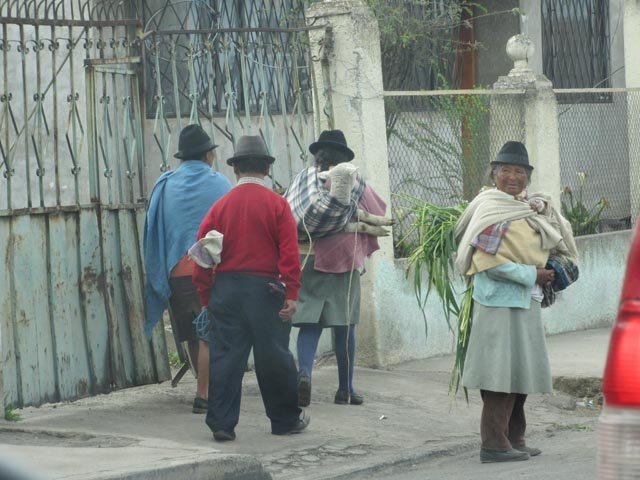 https://www.livingecuadortravel.com/wp-content/uploads/2014/06/bé.jpg