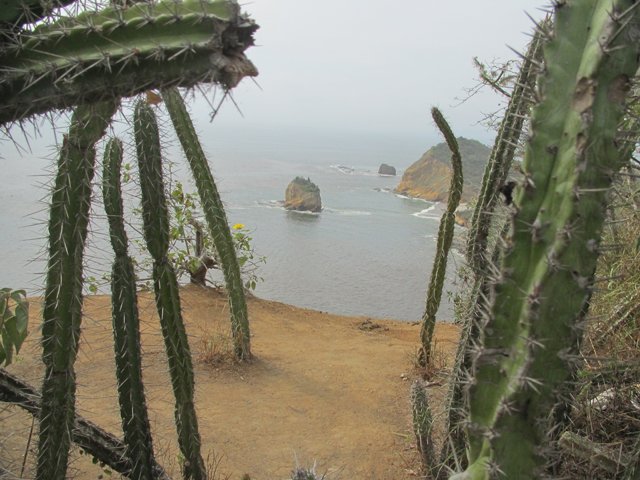 https://www.livingecuadortravel.com/wp-content/uploads/2014/06/cactus-mirador.jpg
