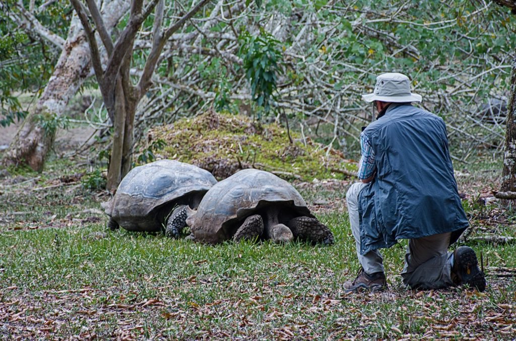 Tortugas de Galapagos