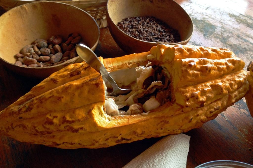 ruta del chocolate