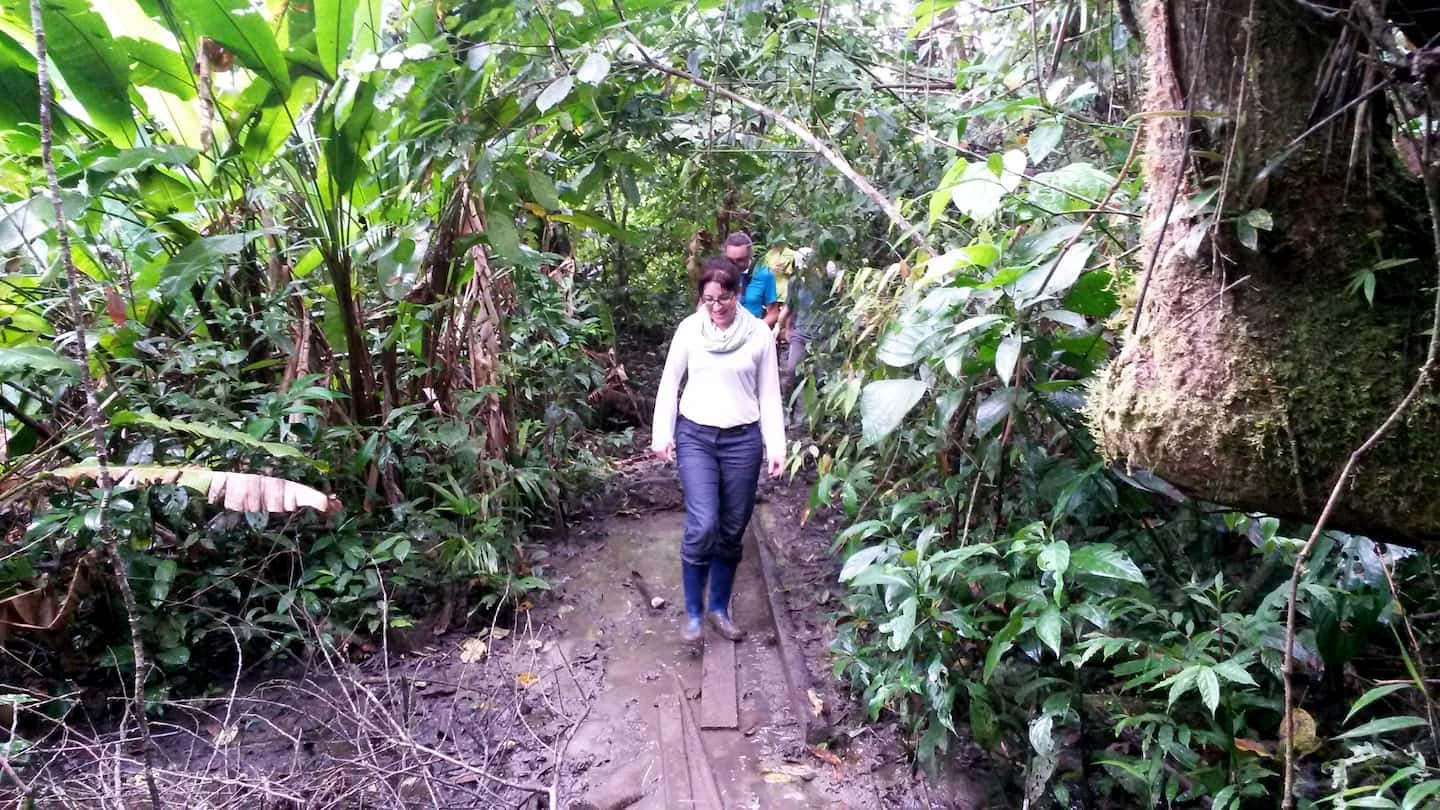 https://www.livingecuadortravel.com/wp-content/uploads/2021/01/Caminata-en-la-selva.jpg